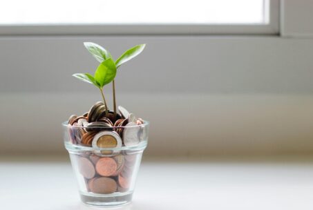 Two plants with two leaves each growing from a clear glass cup full of coins